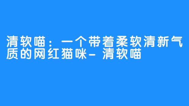 清软喵：一个带着柔软清新气质的网红猫咪-清软喵