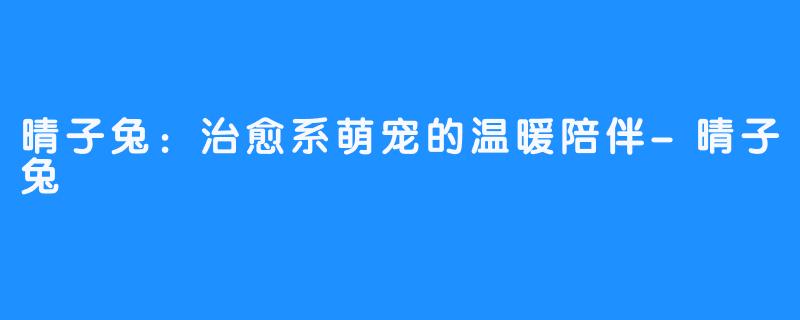 晴子兔:治愈系萌宠的温暖陪伴-晴子兔