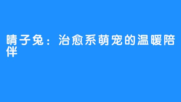 晴子兔:治愈系萌宠的温暖陪伴