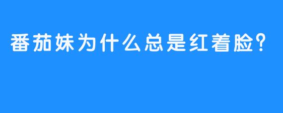 番茄妹为什么总是红着脸？