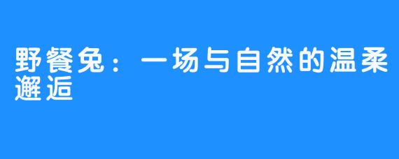 野餐兔:一场与自然的温柔邂逅
