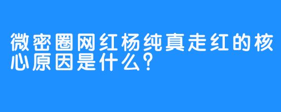 微密圈网红杨纯真走红的核心原因是什么？