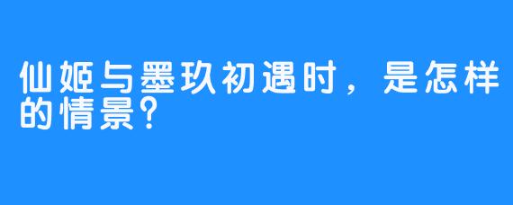仙姬与墨玖初遇时，是怎样的情景？