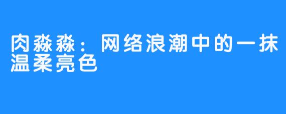 肉淼淼：网络浪潮中的一抹温柔亮色