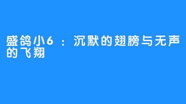 盛鸽小6：沉默的翅膀与无声的飞翔